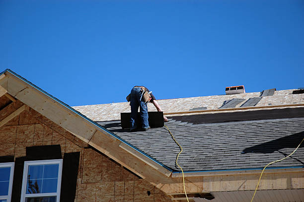 Best Roof Waterproofing Services  in Lino Lakes, MN