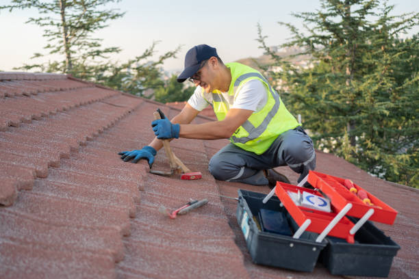 Professional Roofing Contractor in Lino Lakes, MN