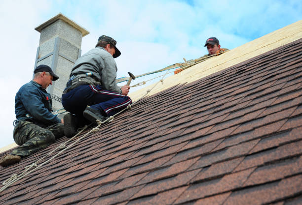 Best Roof Gutter Cleaning  in Lino Lakes, MN
